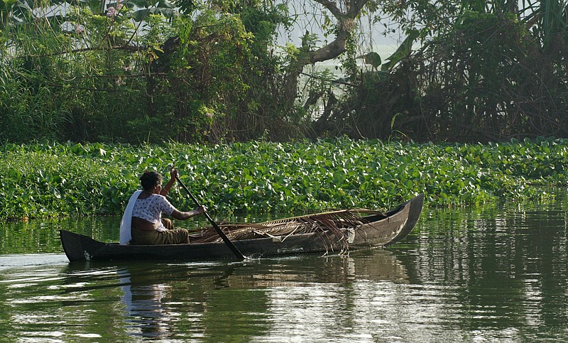 india-2006-0666.jpg