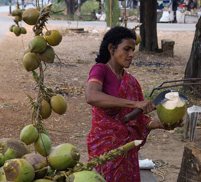 india-2006-0753.jpg