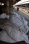 india-2008-605.jpg