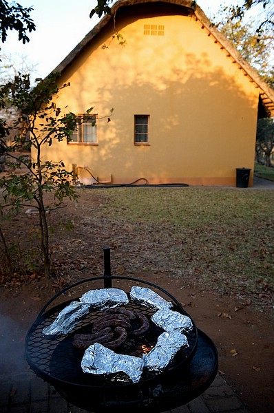 south-africa-2008-0311.jpg