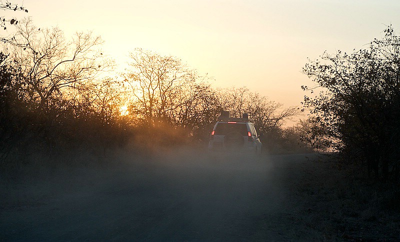 south-africa-2008-0333.jpg