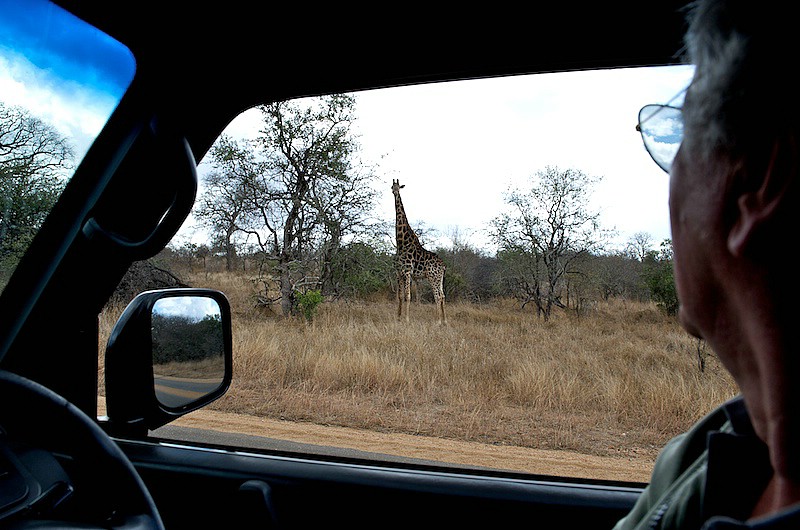 south-africa-2008-0538.jpg