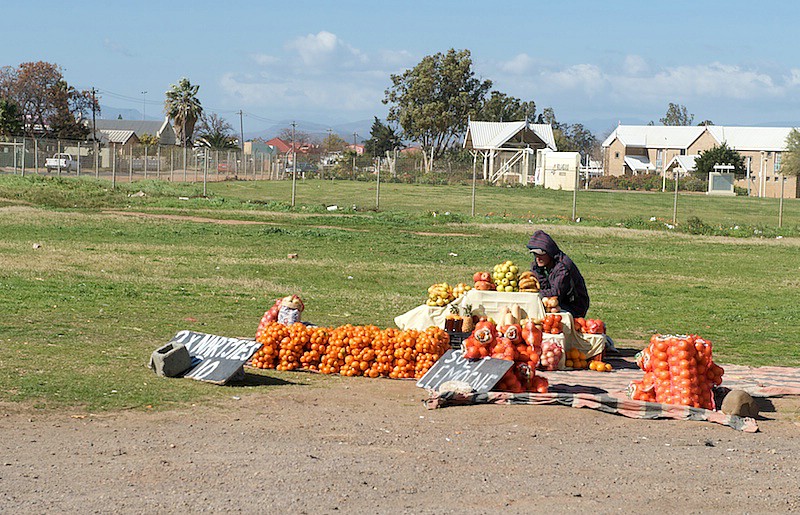 south-africa-2008-1053.jpg