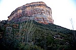 south-africa-2008-0667.jpg